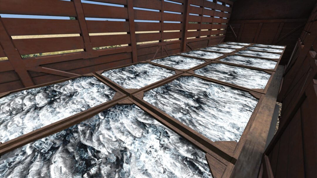 Fish Train Pack | Digital Traction